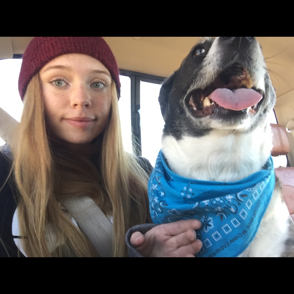 Meet your Posher, Cadence